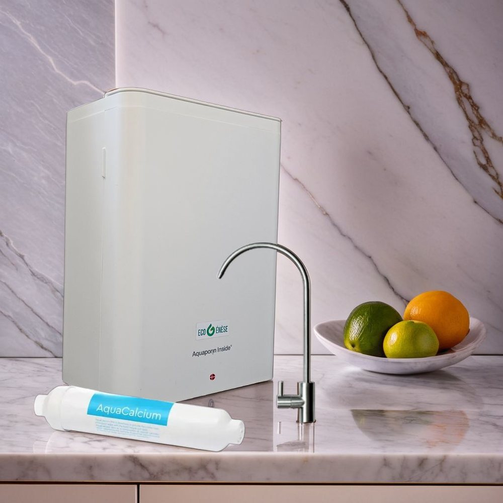 Osmoseur AP2100